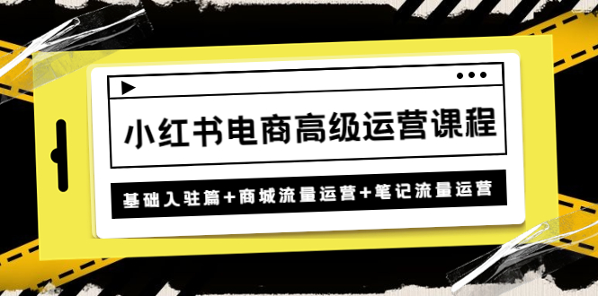 【副业项目4879期】小红书电商高级运营课程：基础入驻篇+商城流量运营+笔记流量运营-网创财富岛