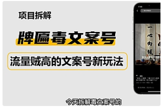 【副业项目4912期】2023抖音快手毒文案新玩法，牌匾文案号，起号快易变现-网创财富岛