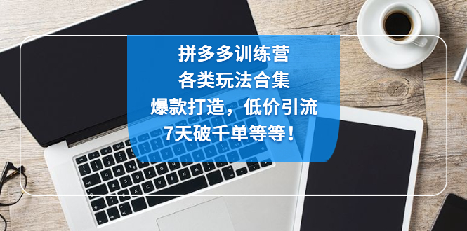 【副业项目4925期】拼多多训练营：各玩法合集，爆款打造，低价引流，7天破千单等等-网创财富岛