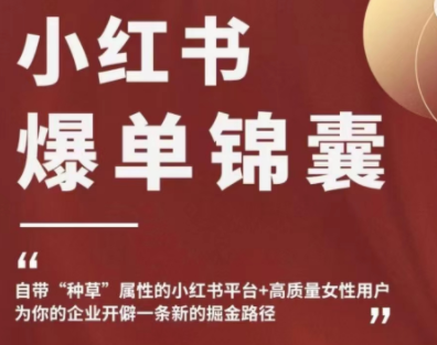 【副业项目4942期】小红书爆单锦囊，自带种草属性+高质量女性用户，为你的企业开辟一条新的掘金路径-网创财富岛