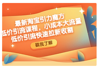 【副业项目4943期】最新淘宝引力魔方低价引流实操：小成本大流量，低价引流快速拉新收割-网创财富岛