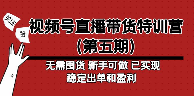 【副业项目5139期】视频号直播带货特训营（第五期）无需囤货 新手可做 已实现稳定出单和盈利-网创财富岛