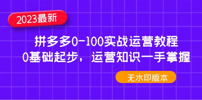 【副业项目5048期】2023拼多多0-100实战运营教程，0基础起步，运营知识一手掌握-网创财富岛