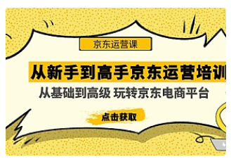 【副业项目5010期】从新手到高手京东运营培训：从基础到高级 玩转京东电商平台-网创财富岛