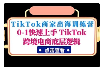 【副业项目5013期】TikTok商家出海训练营：0-1快速上手 TikTok跨境电商底层逻辑-网创财富岛