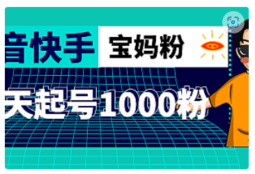 【副业项目5035期】抖音快手三天起号涨粉1000宝妈粉丝的核心方法【详细玩法教程】-网创财富岛