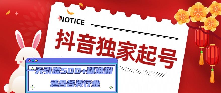 【副业项目5106期】抖音独家起号，一天引流500+精准粉，适合各类行业（9节视频课）-网创财富岛