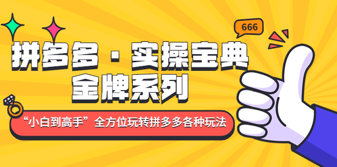 【副业项目5130期】拼多多·实操宝典：金牌系列“小白到高手”带你全方位玩转拼多多各种玩法-网创财富岛