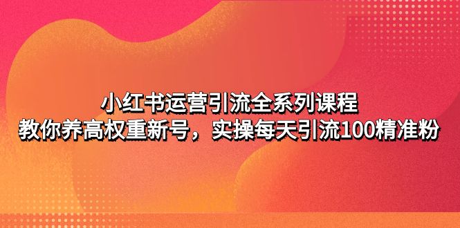【副业项目5144期】小红书运营引流全系列课程：教你养高权重新号，实操每天引流100精准粉-网创财富岛