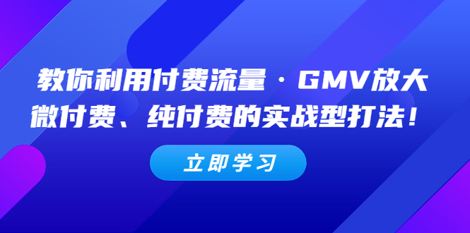 【副业项目5265期】教你利用付费流量·GMV放大，微付费、纯付费的实战型打法-网创财富岛