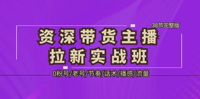 【副业项目5333期】资深·带货主播拉新实战班，0粉号/老号/节奏/话术/播感/流量-38节完整版-网创财富岛