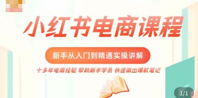 【副业项目5223期】小红书电商新手入门到精通实操课，从入门到精通做爆款笔记，开店运营-网创财富岛