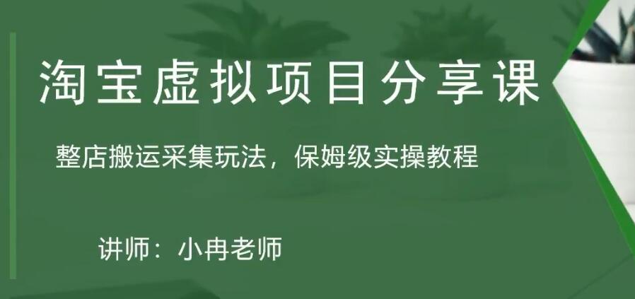 【副业项目5253期】淘宝虚拟整店搬运采集玩法分享课：整店搬运采集玩法，保姆级实操教程-网创财富岛