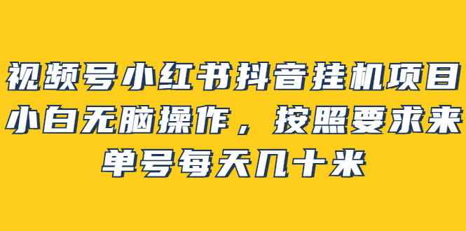 【副业项目2904期】视频号小红书抖音挂机项目，小白无脑操作，按照要求来，单号每天几十米-网创财富岛