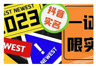 【副业项目5427期】外面收费1200最新抖音一证无限实名技术 无视限制封禁【详细玩法视频教程】-网创财富岛
