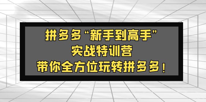 【副业项目5317期】拼多多“新手到高手”实战特训营：带你全方位玩转拼多多-网创财富岛
