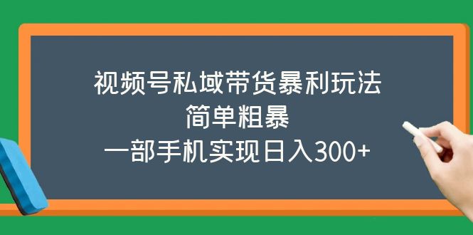 【副业项目5627期】视频号私域带货暴利玩法，简单粗暴，一部手机实现日入300+-网创财富岛