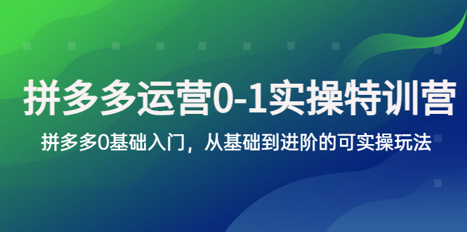 【副业项目5801期】拼多多-运营0-1实操训练营，拼多多0基础入门，从基础到进阶的可实操玩法-网创财富岛