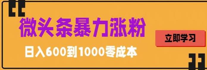 【副业项目5970期】微头条暴力涨粉技巧搬运文案就能涨几万粉丝，简单0成本，日赚600-网创财富岛