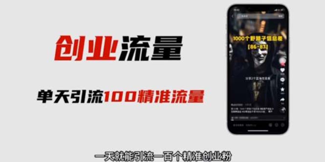 【副业项目5897期】自媒体音频加图文制作视频 一天引流一百个精准创业粉【音频软件+图片素材】-网创财富岛