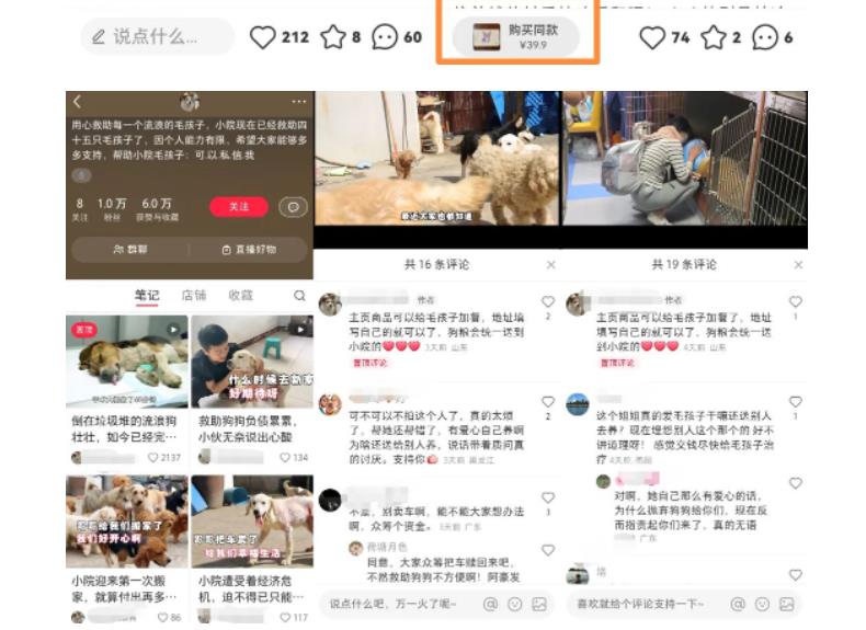 【副业项目5898期】小红书蓝海类赛道：小动物打赏与购买变现副业项目，一条龙玩法分享给你！-网创财富岛