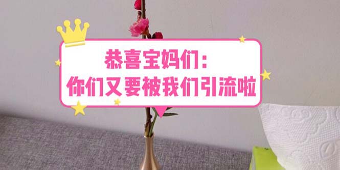 【副业项目5918期】恭喜宝妈们：你们又要被我们引流了（教程+222g资料）-网创财富岛