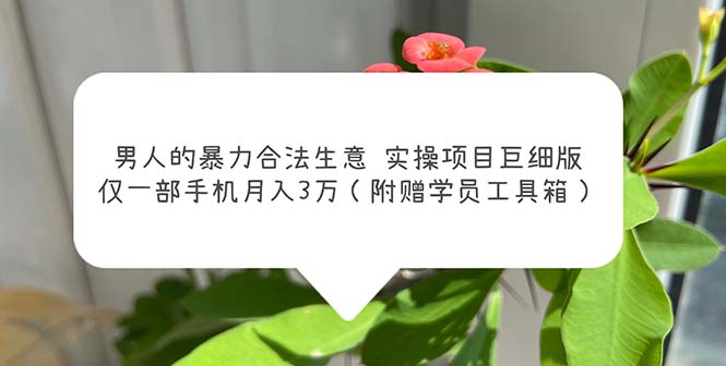 【副业项目5982期】男人的暴力合法生意实操项目巨细版：仅一部手机月入3w（附赠学员工具箱）-网创财富岛