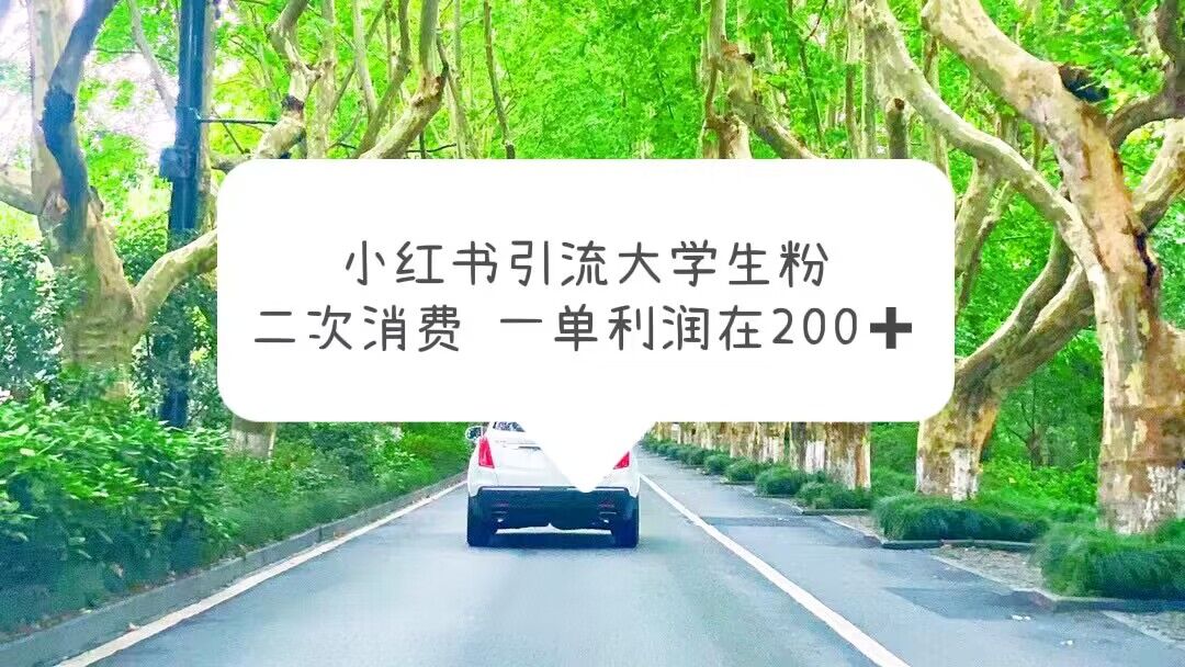 【副业项目5937期】小红书引流大学生粉，变现项目，一单利润在200+（教程+资源）-网创财富岛