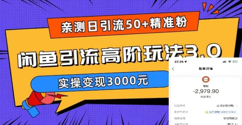 【副业项目5795期】实测日引50+精准粉，闲鱼引流高阶玩法3.0，实操变现3000元-网创财富岛