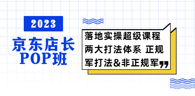 【副业项目5761期】2023京东店长·POP班 落地实操超级课程 两大打法体系 正规军&非正规军-网创财富岛
