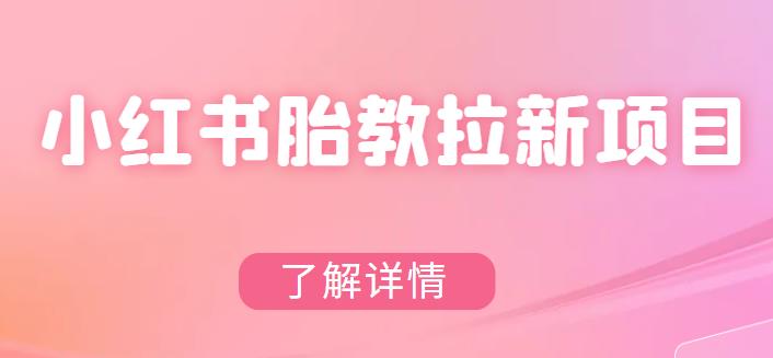 【副业项目6099期】小红书胎教网盘拉新项目，可在私域变现两次（作品制作教程+素材）-网创财富岛