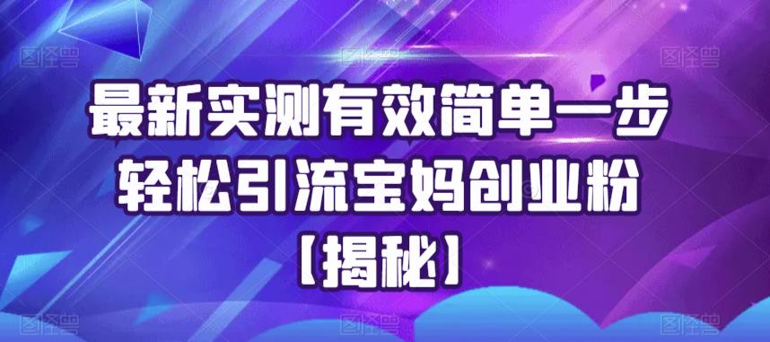 【副业项目6204期】最新实测有效简单一步轻松引流宝妈创业粉【揭秘】-网创财富岛