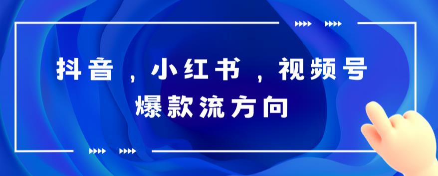 【副业项目6104期】抖音，小红书，视频号爆款流视频制作，简单制作掌握流量密码-网创财富岛