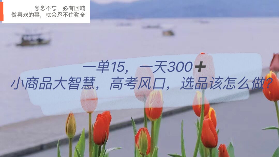 【副业项目6119期】一单15，一天300+，小商品大智慧，高考风口，选品该怎么布局-网创财富岛