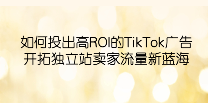 【副业项目6124期】如何投出高ROI·TikTok广告，开拓独立站卖家流量新蓝海-网创财富岛
