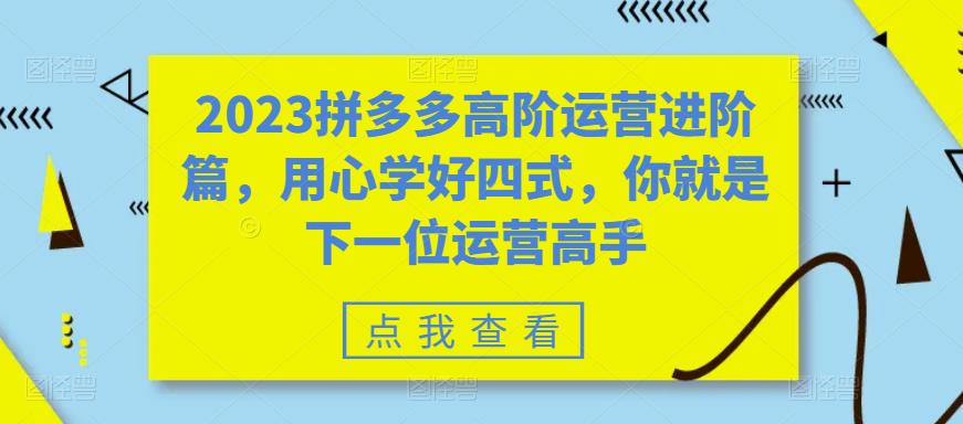 【副业项目6241期】2023拼多多高阶运营进阶篇，用心学好四式，你就是下一位运营高手-网创财富岛