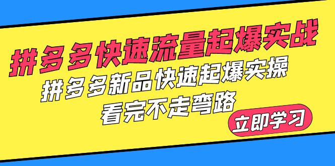 【副业项目6310期】拼多多-快速流量起爆实战，拼多多新品快速起爆实操，看完不走弯路-网创财富岛