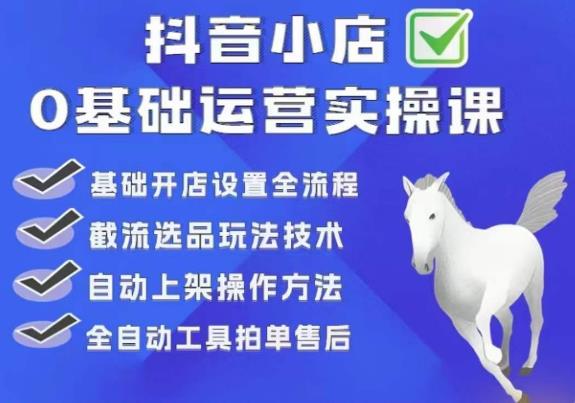 【副业项目6317期】白马电商·0基础抖店运营实操课，基础开店设置全流程，截流选品玩法技术-网创财富岛