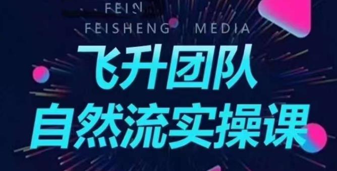 【副业项目6267期】飞升团队课程自然流实操课，抖音半无人起号主播间搭建教学-网创财富岛