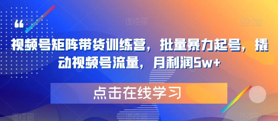 【副业项目6254期】视频号矩阵带货训练营，批量暴力起号，撬动视频号流量，月利润5w+-网创财富岛