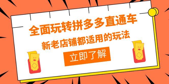 【副业项目6359期】全面玩转拼多多直通车，新老店铺都适用的玩法（12节精华课）-网创财富岛