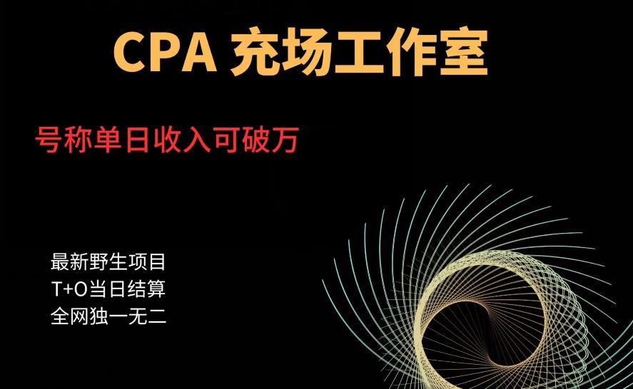 【副业项目6075期】cpa充场工作室，号称单日收入10000+（揭秘）-网创财富岛