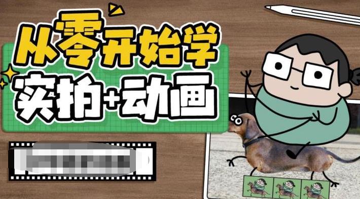 【副业项目6738期】从零开始学实拍加动画，实拍加动画创意教程（49节视频课）-网创财富岛