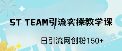 【副业项目6745期】ST TEAM引流实操课，日引流网创粉100+-网创财富岛