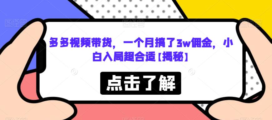 【副业项目6752期】多多视频带货，一个月搞了3w佣金，小白入局超合适【揭秘】-网创财富岛