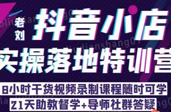 【副业项目6755期】老刘·抖店商品卡流量，​抖音小店实操落地特训营，8小时干货视频录制课程随时可学-网创财富岛