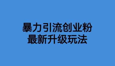【副业项目6372期】价值1980一千个野路子暴力引流最新升级玩法【揭秘】-网创财富岛