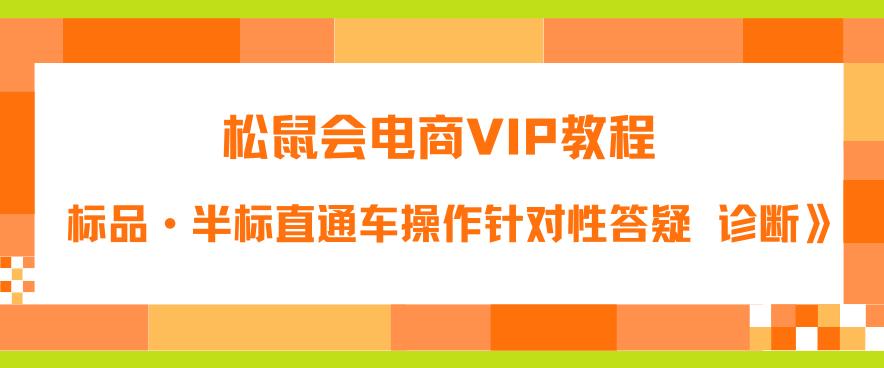 【副业项目6373期】松鼠会电商VIP教程：松鼠《付费推广标品·半标直通车操作针对性答疑&诊断》-网创财富岛