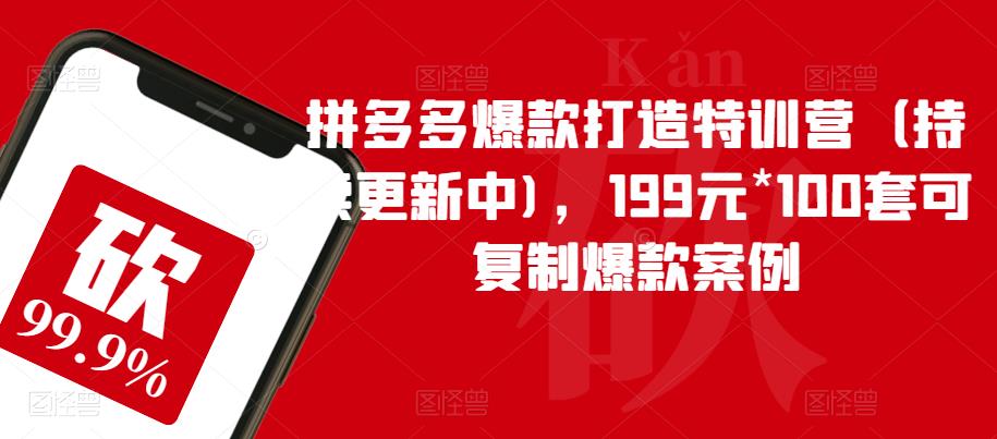 【副业项目6391期】拼多多爆款打造特训营（持续更新中)，199元*100套可复制爆款案例-网创财富岛