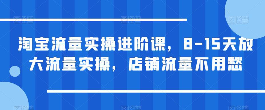 【副业项目6415期】淘宝流量实操进阶课，8-15天放大流量实操，店铺流量不用愁-网创财富岛